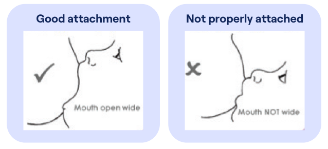 Good Breastfeeding Attachment